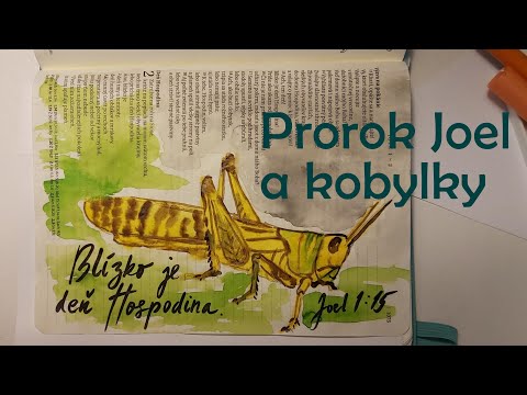 Video: V Bibli kobylky?