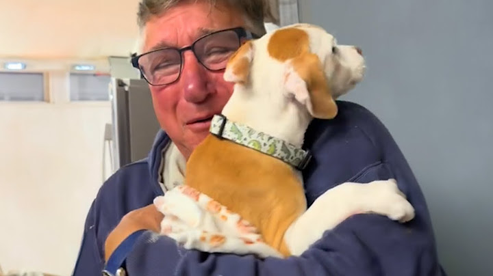 Surprising parents with their dream dog 🐶 Puppy Surprise 2024!