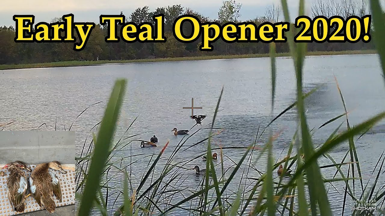 Early Teal Opener | Public Land Duck Hunting 2020