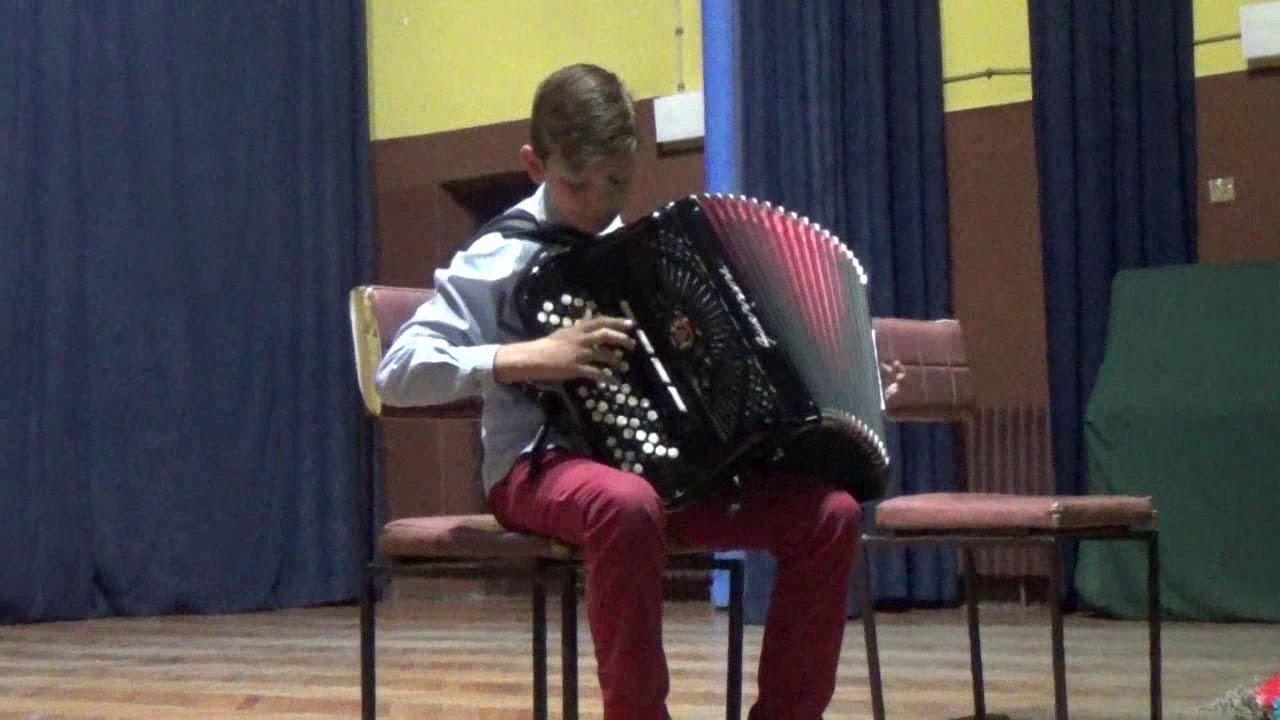 Drugi sabor harmonikaša Ćićevac 2018- Milić Martin -Pardik - Ražanj