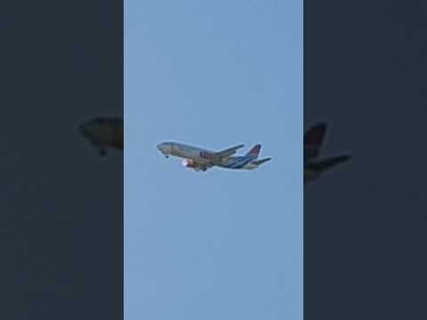 Video: Welke luchtvaartmaatschappij heeft officieel de springbokken gevlogen?