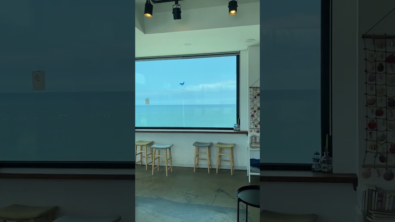 남애항 양양고래카페 / 강원도 양양군 현남면 남애리 / 20210820