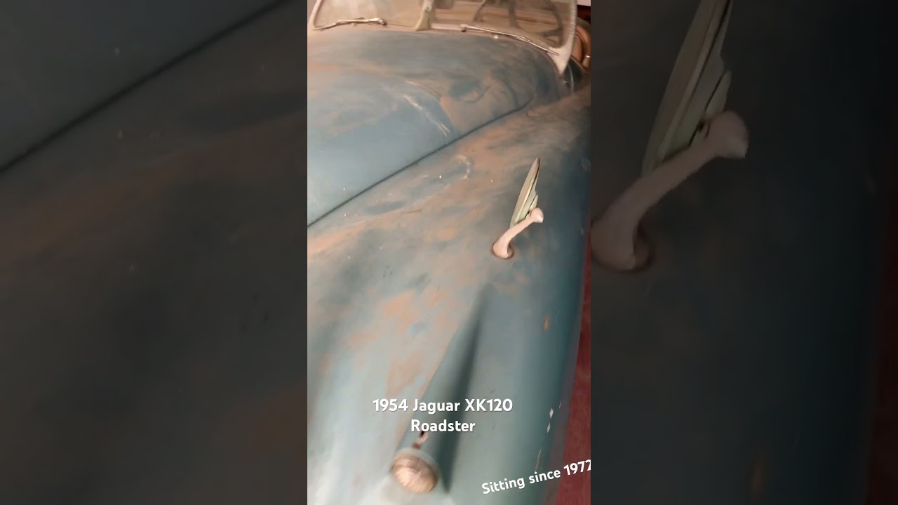 Garage find California black plate 1954 Jaguar XK120 Roadster. 