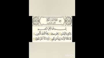 سورة التين رواية قالون عن نافع بالرسم الداني شيخ وليد النائحي (التجويد اليبي)