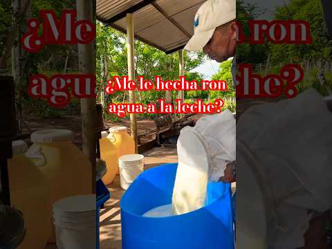 ¿Cómo saber si