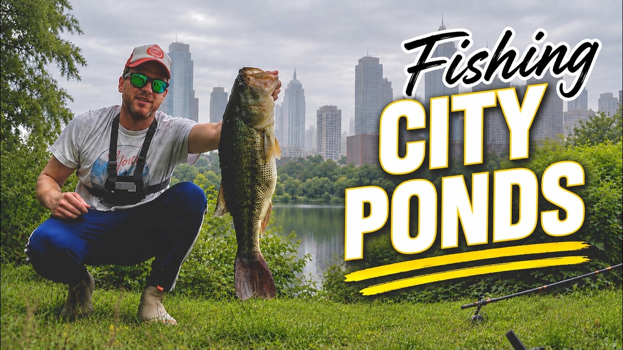 FISHING CITY PONDS FOR BIG BASS 007