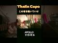#shorts 音楽より 先に、タリアカポの存在感が主張してくる動画。Thalia Capo 愛が暴走中