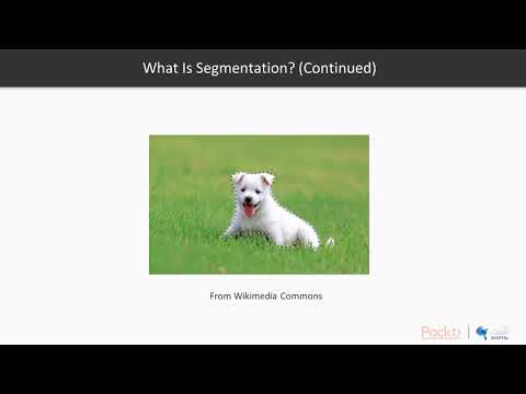 Python Deep Learning for Beginners: Semantic Segmentation|packtpub.com