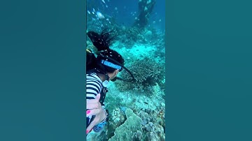 Epic Scuba Diving in Andaman: A Journey into the Deep