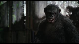 Dawn of the Planet of the Apes - Koba Playing Stupid Ape