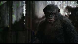 Dawn Of The Planet Of The Apes - Koba Playing Stupid Ape