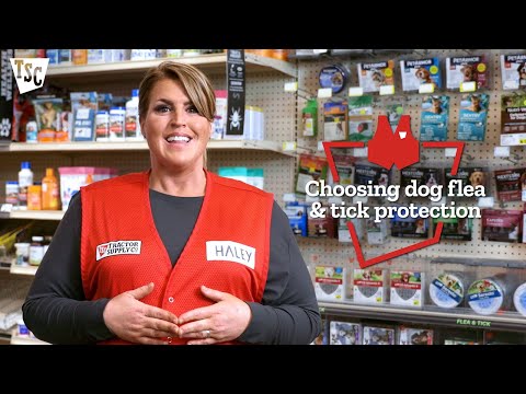 How to Choose Dog Flea & Tick Protection | Tractor Supply Co.