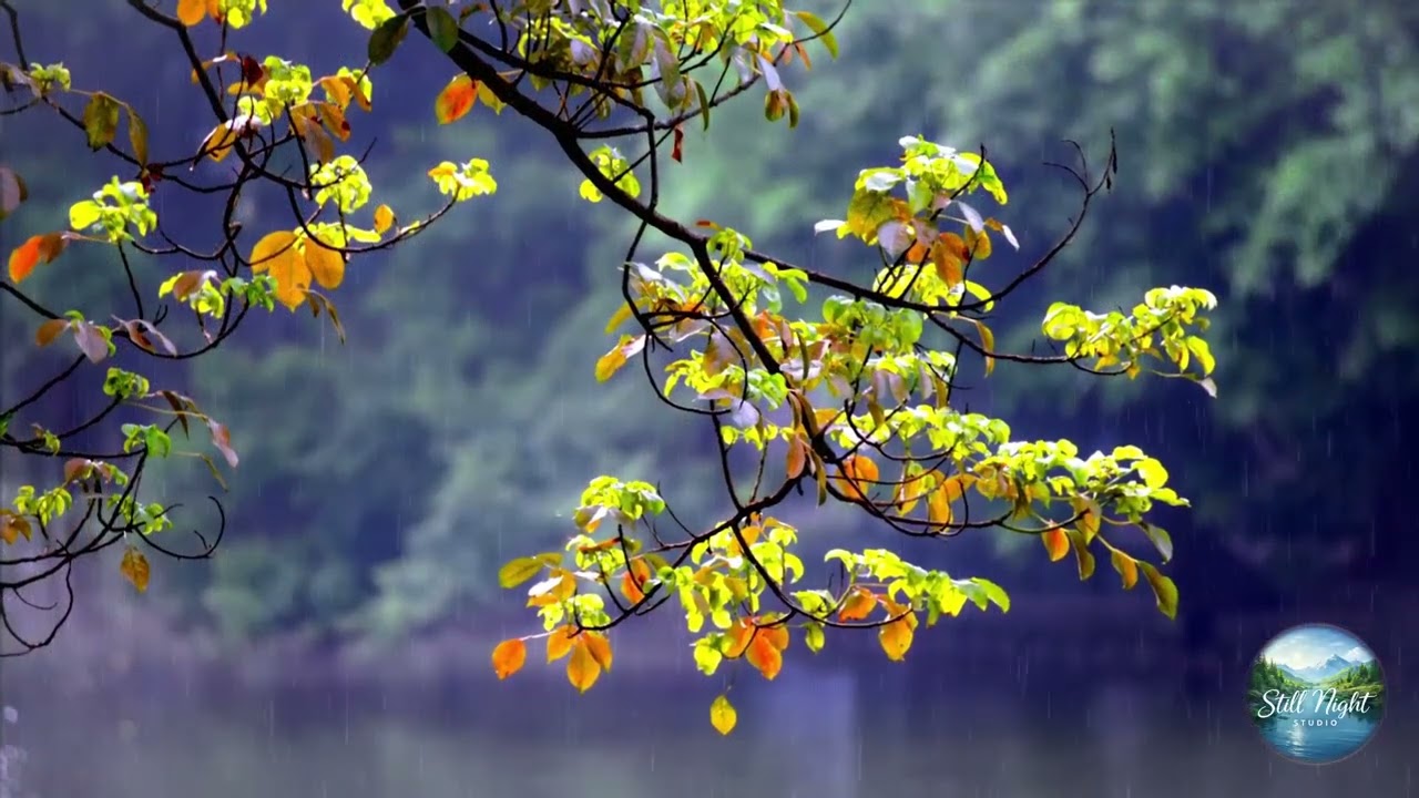 Living Calm Music Mountains & Water Landscapes