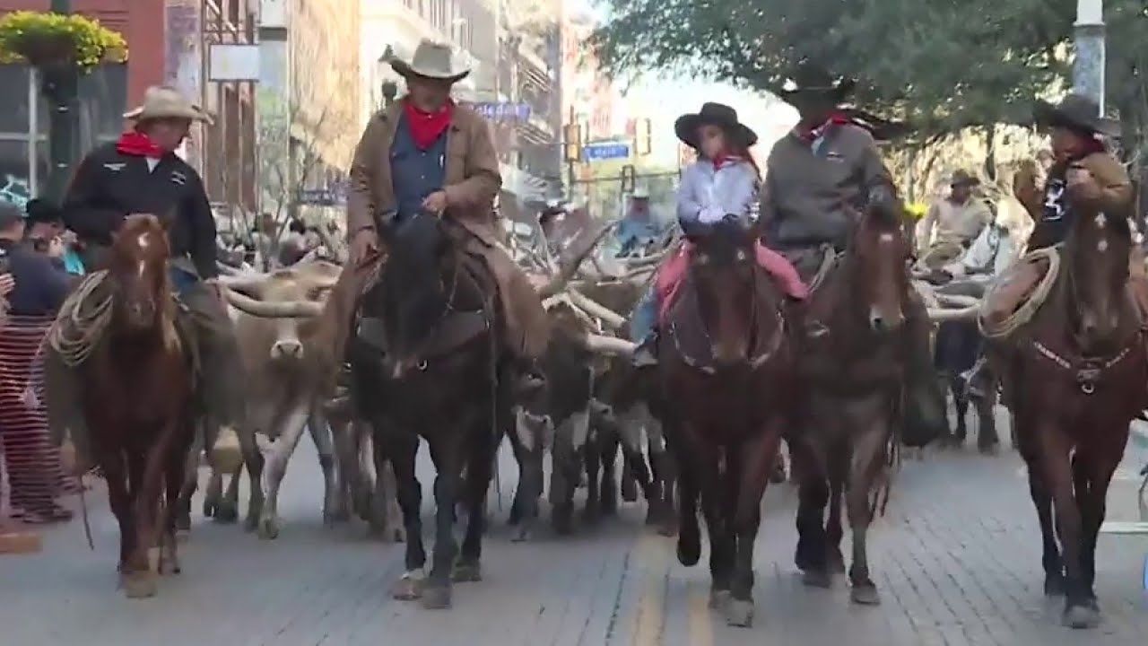 WATCH Western Heritage Parade and Cattle Drive in downtown San Antonio