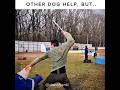 " Other Dog Help vs 💀.. " | #trollface #comparison