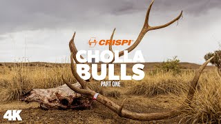 Crispi Presents: Cholla Bulls - New Mexico elk hunt part 1