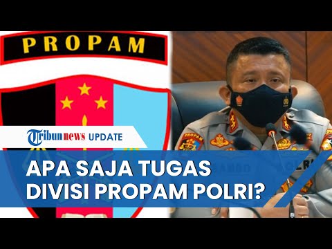 Mengenal Divisi Propam Polri yang Sempat Dipimpin Irjen Ferdy Sambo, Divisi Elite Korps Bhayangkara