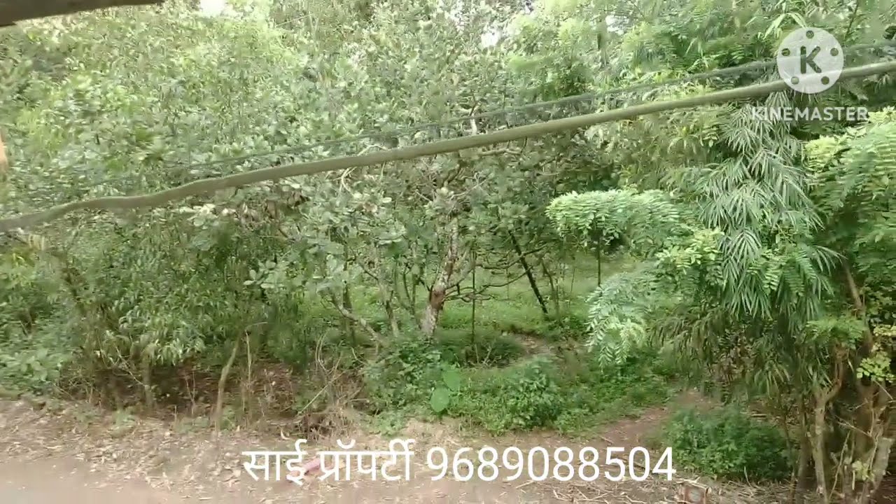 तळवडे-सावंतवाडी येथे 2BHK बंगला विकणे आहे #99acres #propertyforsell #propertyforinvestment 