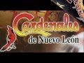 Cardenales de nuevo leon mix  dj xavier