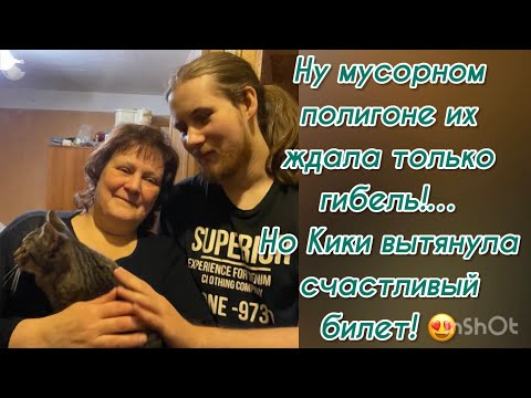 На мусорном полигоне их ждала только гибель!… но Кики вытянула счастливый билет! 😍