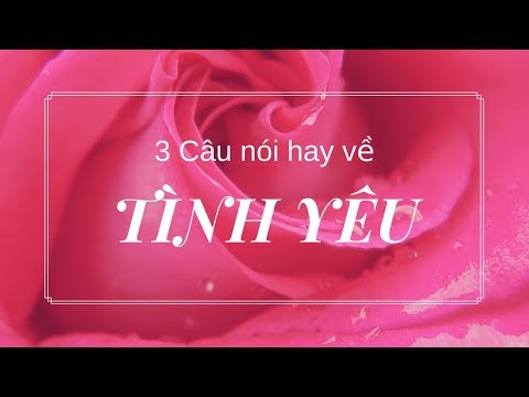 Video 3 câu nói hay về Tình Yêu bằng Tiếng Anh [ENGLISH... - youtube