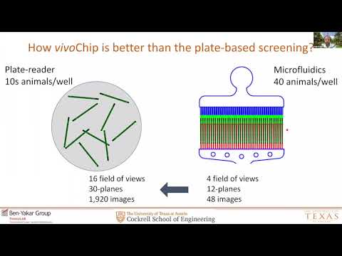 Large scale phenotypic screening of chemical libraries with C. elegans