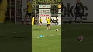 Zeki Murat Göle, Görevi Domenico Tedescoya Devretti