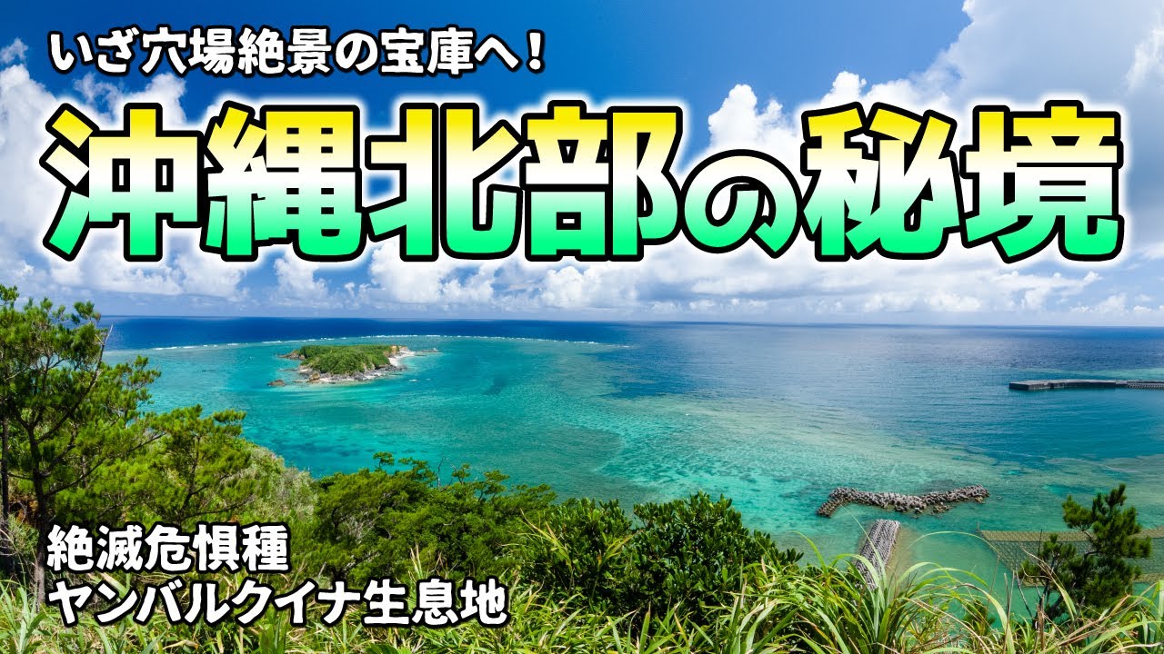 沖縄旅行 北部やんばるの秘境 穴場ビーチに絶景 野生のヤンバルクイナを探せ Youtube