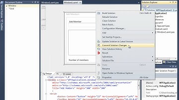 Delphi XE (aka Delphi 2011) Delphi Prism XE y RadPHP XE Preview #1