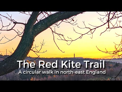 The Red Kite Trail, a circular walk in north-east England