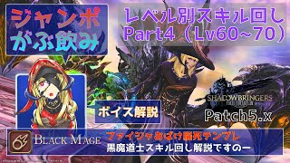 Arthy Syachihoko 日記 5 58 Lv80黒魔道士スキル回し 開幕 単体 範囲 ですのー 目録 Final Fantasy Xiv The Lodestone