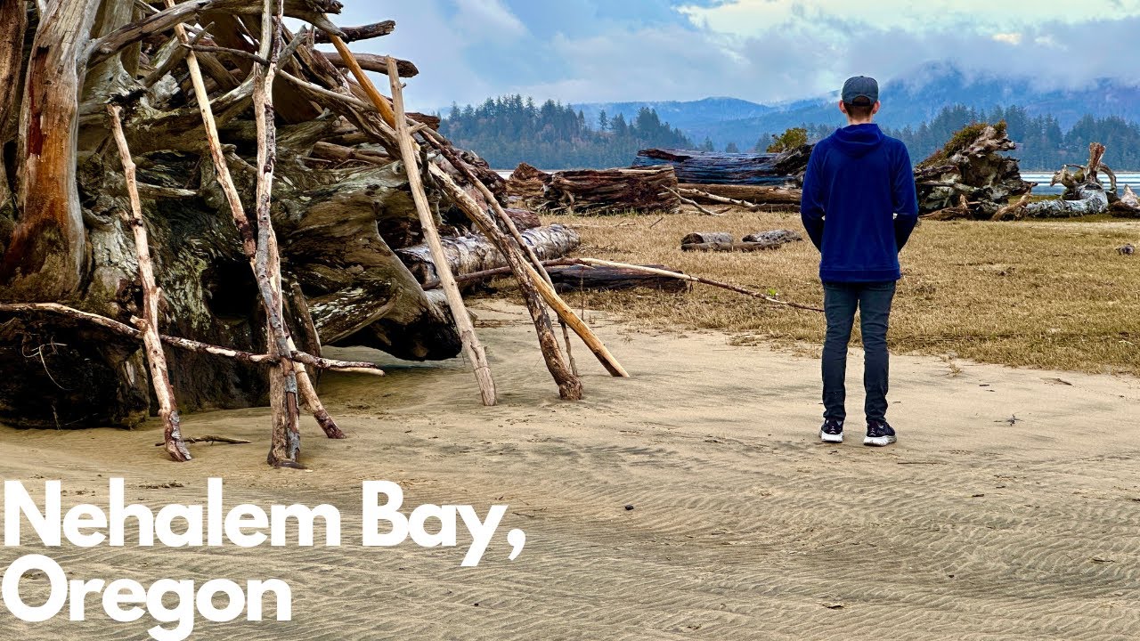 The Boneyard (Nehalem Bay, Oregon)