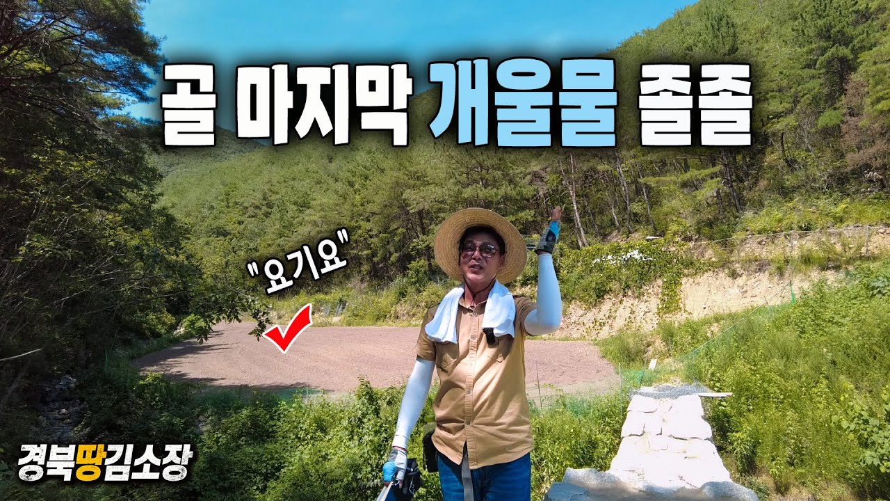 ★경북땅김소장★[매번934번] 골마지막 땅 개울물 졸졸