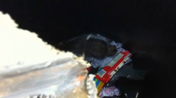 Squirrel trapped in trash can