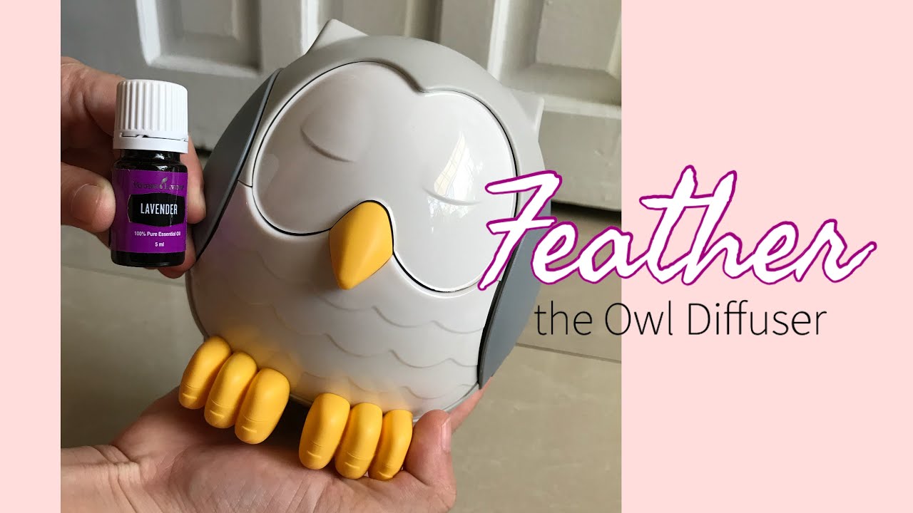 Feather Owl Diffuser unboxing from Young Living. Humidifier x Essential