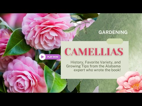 Alabama's Flower Power: Is This A Family Reconciliation?