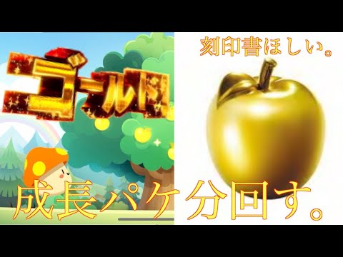 【メイプルM】紋章書狙ってゴールドアップル５０連くらいしてみた
