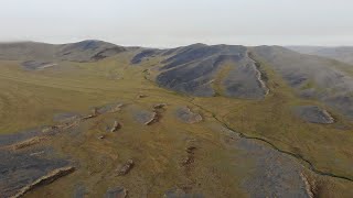 Приморский кряж, дельта Лены, Якутия (Primorskiy ridge, the Lena delta, Yakutia)