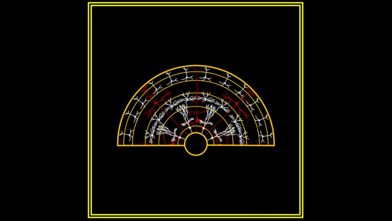 The Hard Problem Ep3: The Function of Consciousness