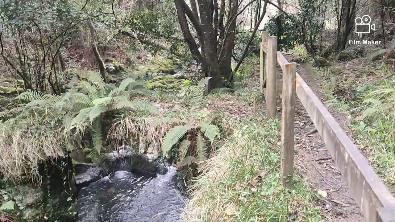 Rio Guadamina, Llanes