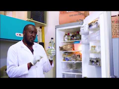 Mak-RIF: Dr. Christine Betty Nagawa and Team on Pesticides from Tree Extractions