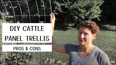 Cattle Panel Trellis - what we like (and don