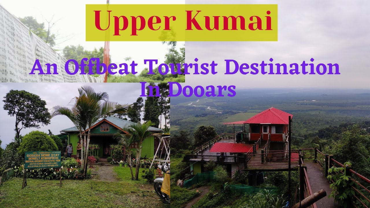 Upper Kumai | Offbeat Tourist Destination In Dooars | Tourist Place In Westbengal | Gorkha Homestay