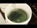 Middle of video