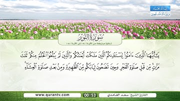 سورة النور | تلاوة مباركة من الآية 54 إلى الآية 58 | بصوت القارئ الشيخ سعد الغامدي