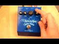 CV2 Chorus Waves Humbucker & Single Coil DEMO - YouTube