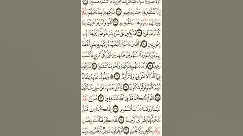 سورة الطور ( 29_ 49