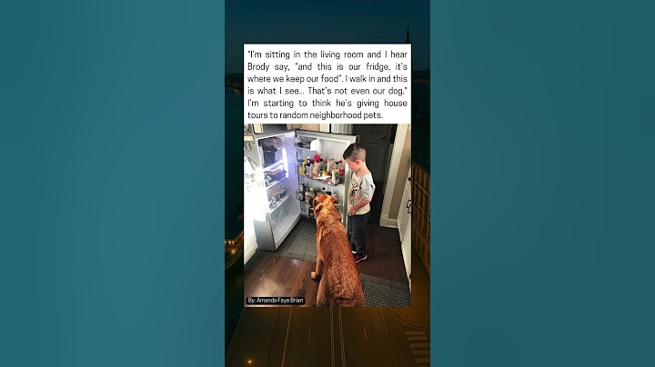 Kid Caught Giving Full House Tour To Stranger Dog