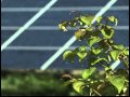 Connexus Energy Offering Solar Panels to Lease for Homes, Connexus Energy Offering Solar Panels to Lease for Homes,
