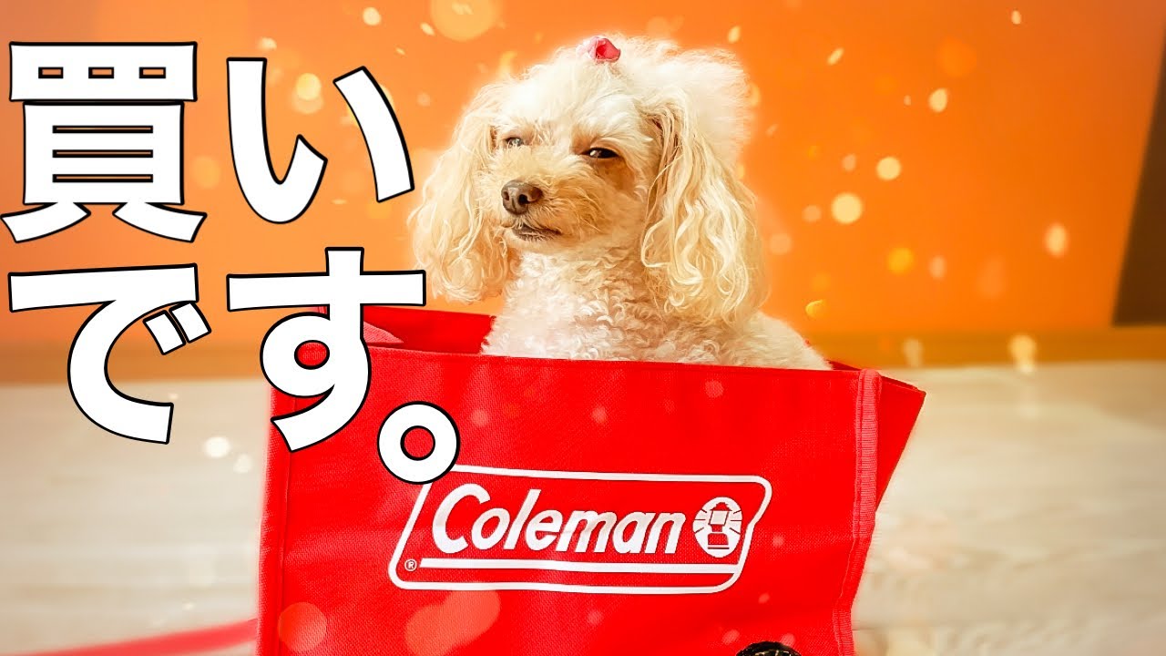 雑誌付録 Monomax モノマック 8月号 通常号 開封レビュー 映えグッズ インスタ映え Youtube